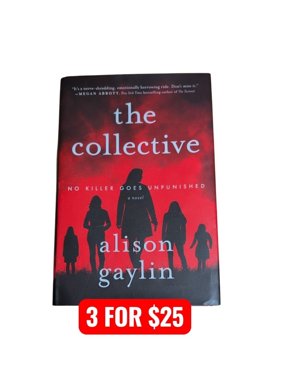 The Collective by Alison Gaylin Hardback
